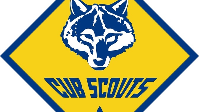 Have you ever been a Cub Scout Den leader?