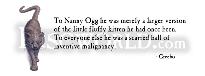 What would you do if you turn into a cat overnight?