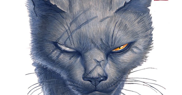 What would you do if you turn into a cat overnight?