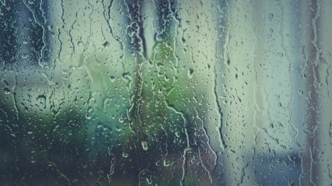 It's such a miserable rainy day today where I am. What do you like to do on a rainy day?