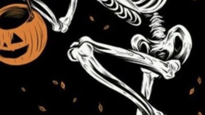 Do any of you have plans for Halloween? What do you usually do for this holiday?