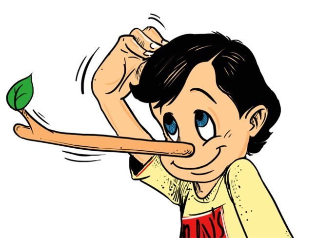 Should I Lie About Being In The Air Force?