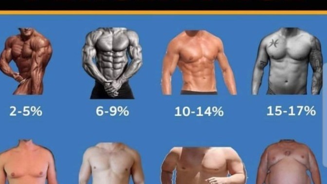 What's you're ideal man body type?