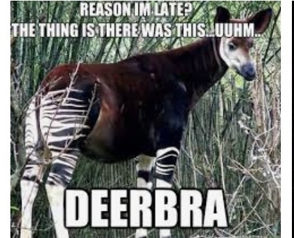 Which of these bizarre creatures would you want to exist as (Part 1)?