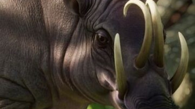 Which of these bizarre creatures would you want to exist as (Part 1)?