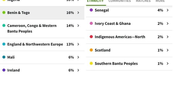 Do I look my ethnicity? Here are my ancestrydna results?