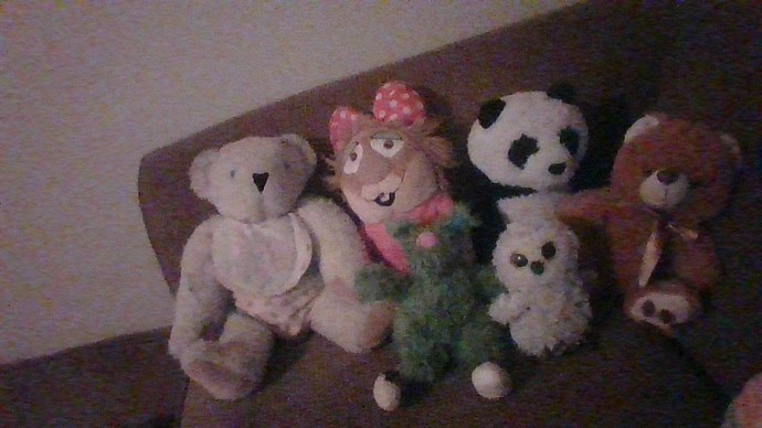 What do you think of my favorite stuffed animals?