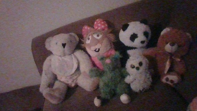 What do you think of my favorite stuffed animals?