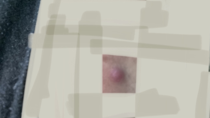 Does anyone know what this is?