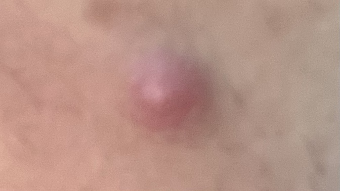 Does anyone know what this is?