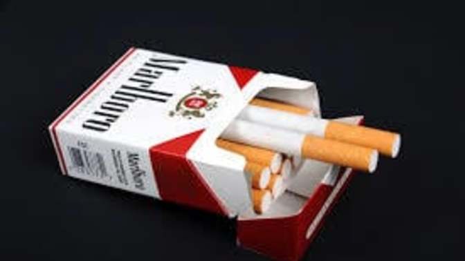 Which of these items will US Gov't ban private ownership?