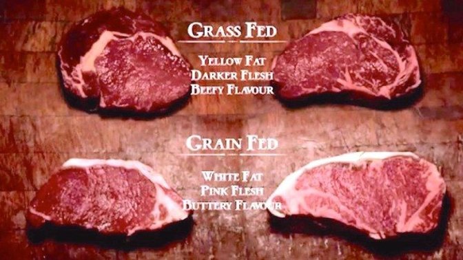 Do you prefer grain or grass fed beef?