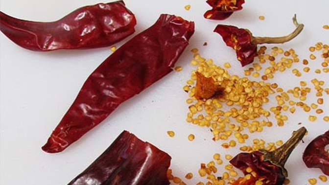 What to do when losing taste and smell?