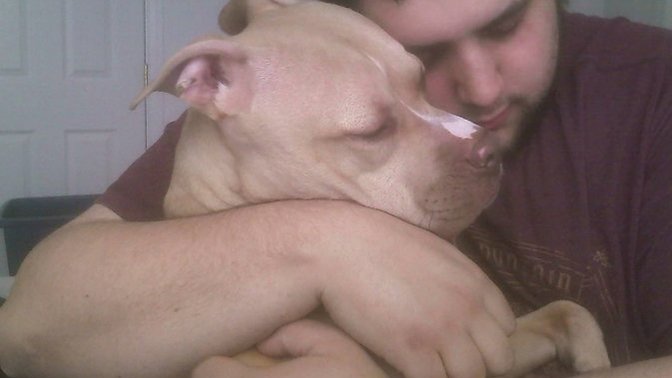 Would you allow a dog in your home for your partner for their emotional support for when you aren't around (ASSUMING NO ALLERGIES)?