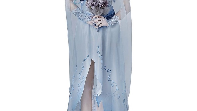 Opinions on costume?