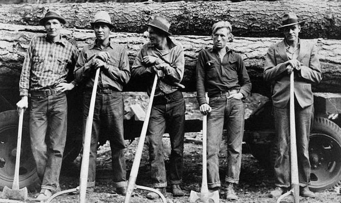 Loggers wearing jeans