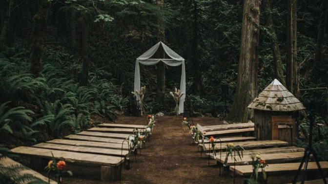 What do you think about my dream wedding?