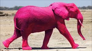 Ok I’m going to address the elephant in the room. Where do you stand on this?