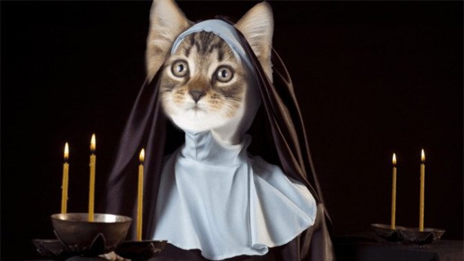 If you were in a room with a lot of other people and they all started meowing, what would you do?