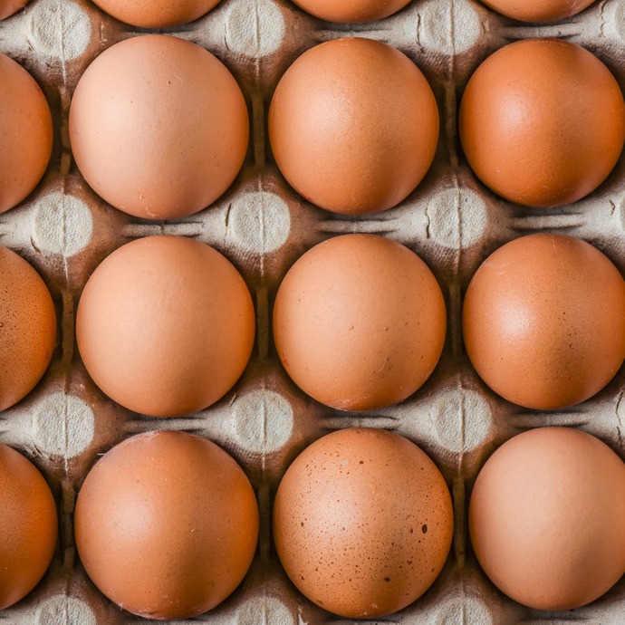 True or False: unless you make eggs youre not a female?