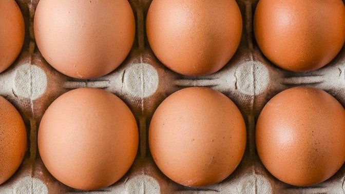 True or False: unless you make eggs you're not a female?