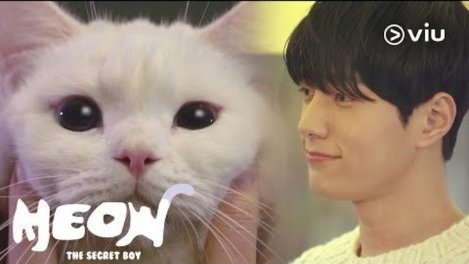 What's your favorite Korean drama and why? Coul you give me few minutes of it's trailer?