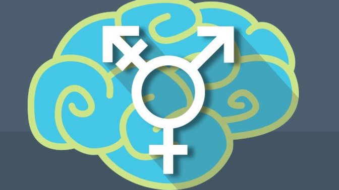 Have you ever met anyone in real life who was openly confused about their gender?