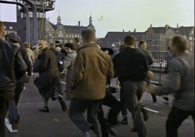 If everybodys running from something but you see someone falls, would you stop and help them up?