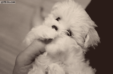 But I wuves you! *sniff you no wuves me?