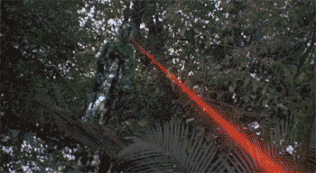 If you HAD to choose one, Would you rather?