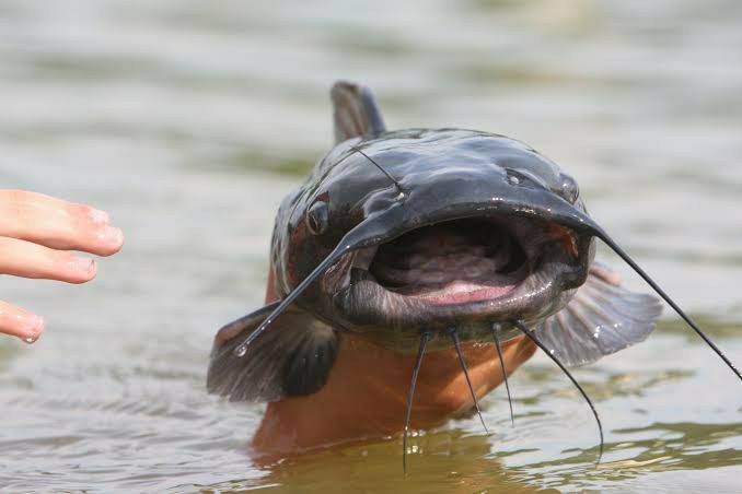 Do you think girls on dating sites post true pictures of themselves?