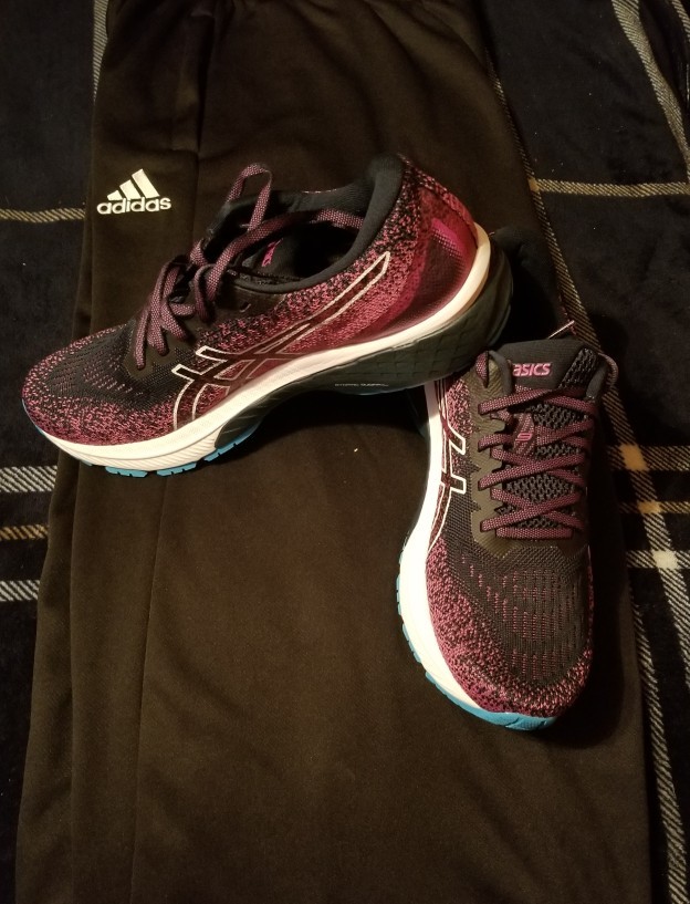 What pair of shoes go better with these sweat pants?