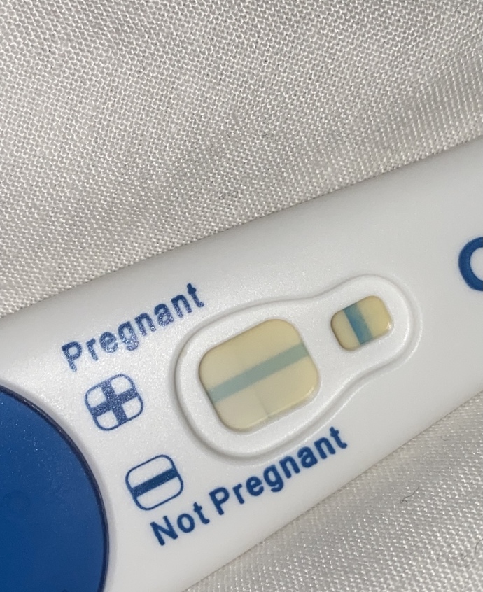 Please help!! pregnant or not?