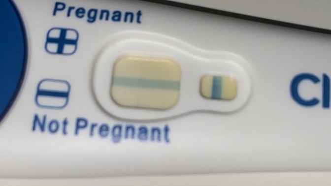 Please help!! pregnant or not?