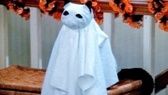 Favorite Scary Movie?
