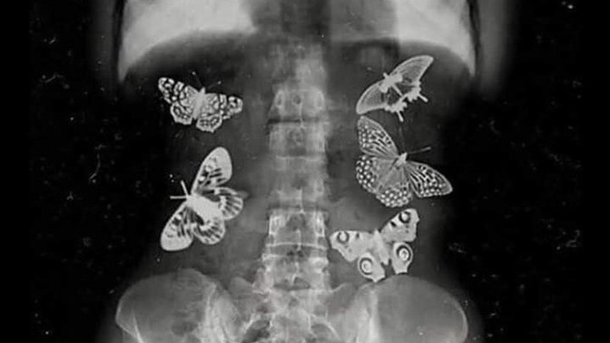 Has someone ever made you feel butterflies in your stomach?