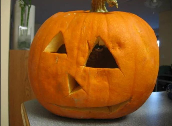 How skilled are you at carving pumpkins?