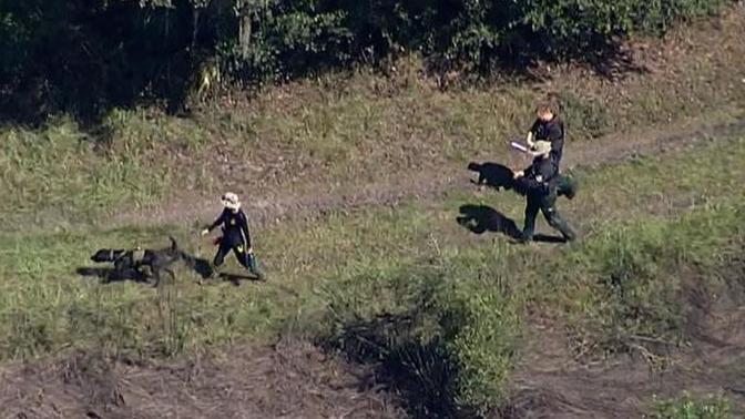 Do you think the recent discovery of Brian Laudrie's belongings and possible "remains" is suspicious?