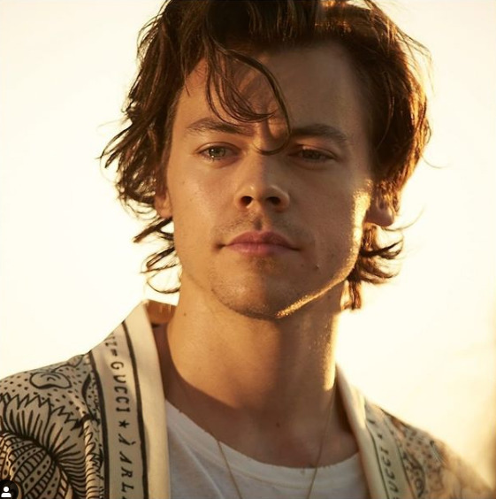 Why are so many women obsessed with Harry Styles?