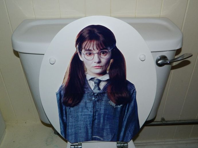 Would you hook up with a "toilet ghost"?