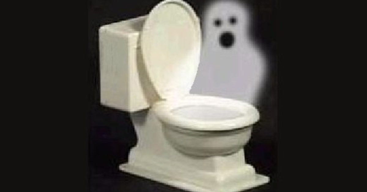 Would you hook up with a "toilet ghost"? GirlsAskGuys