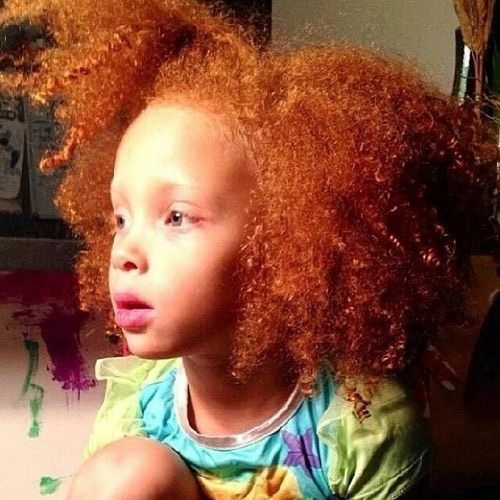 Why are red heads dying out?