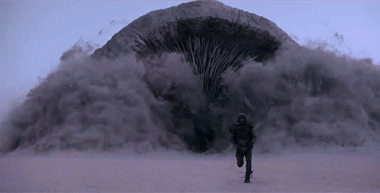 Youre on your way to the store to pick up some groceries and a GIANT SANDWORM emerges from the ground and roars at you. what do you do?