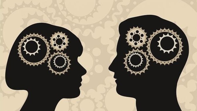 Help me understand why some believe that men and women are exactly alike?