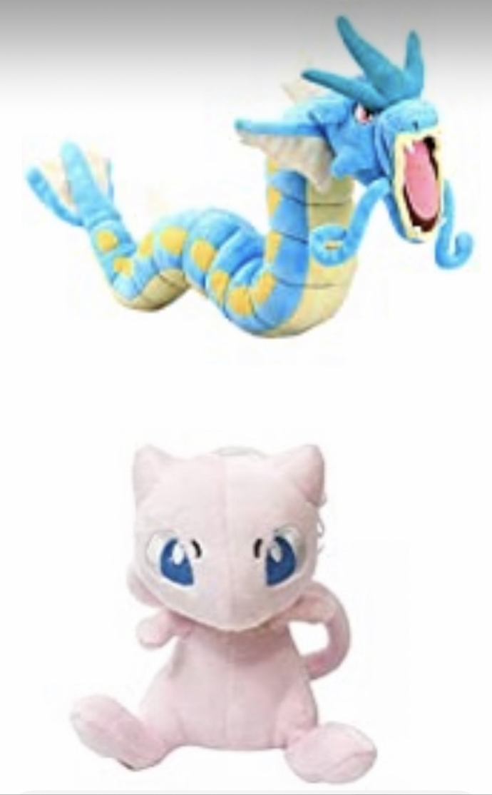 What do you think of this Christmas gift for a boy and girl 5 + 8?