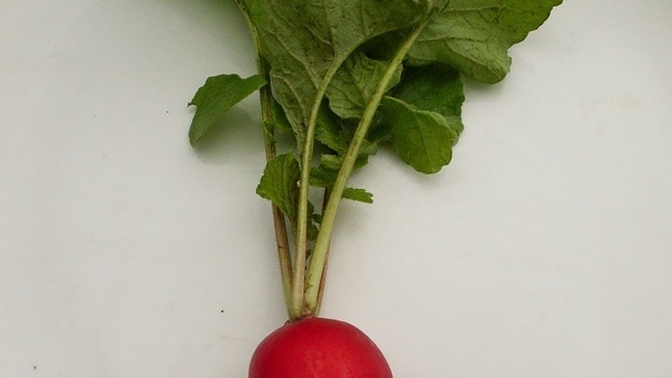 Are there any fruits or vegetables that just don’t agree with you?