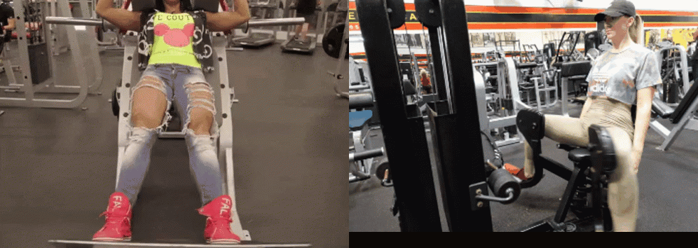 What type of eating, exercises, and equipment do you feel got you the closest to your dream body?