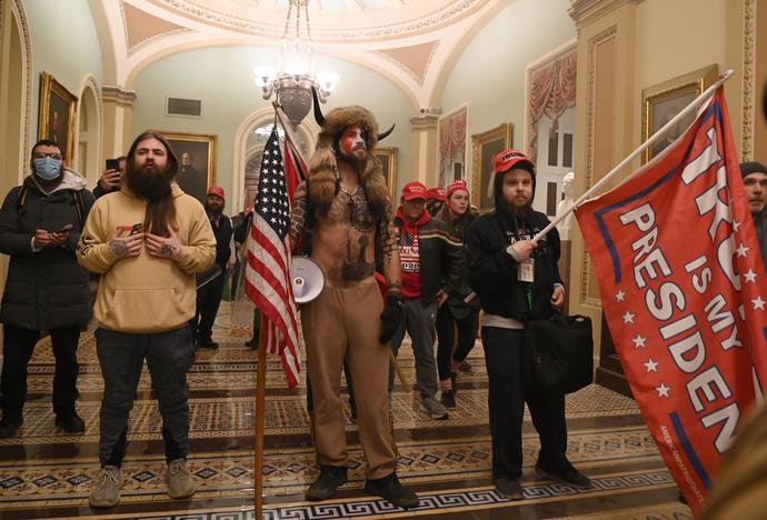 What you think of "Stop the steal riots" at the capitol?
