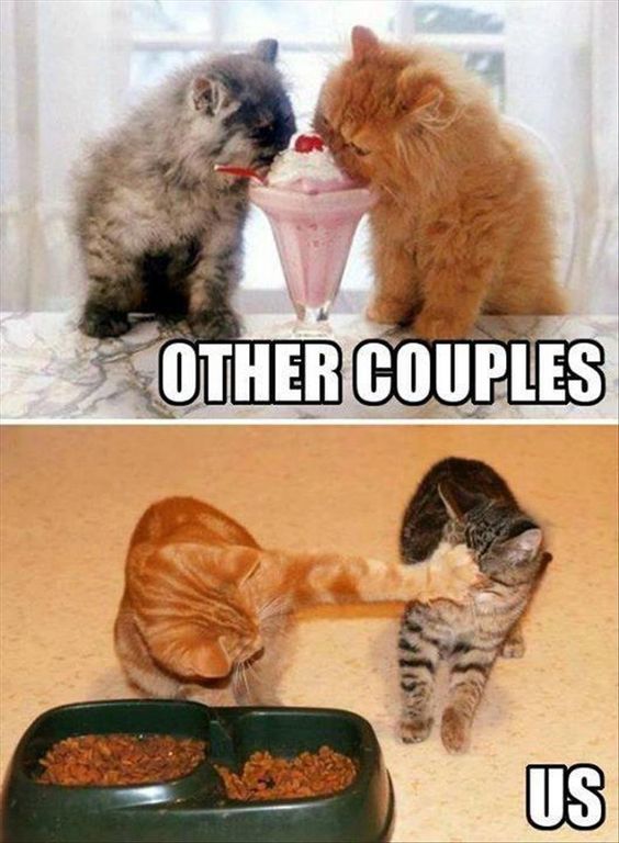 Would you consider going on a double date in today's dating culture?