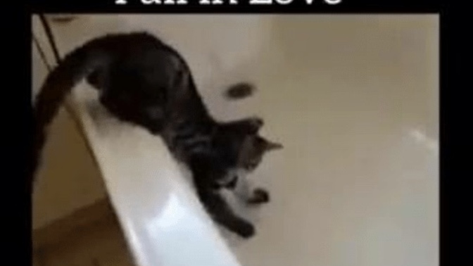 How to I prevent myself from catching feelings for a girl?